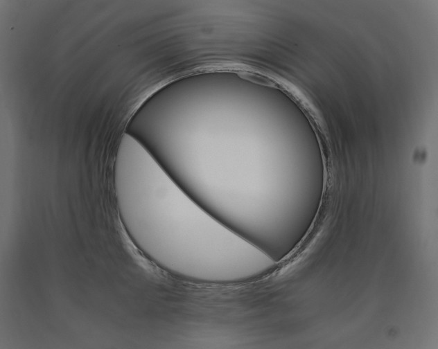 X0000091010905200708021403
