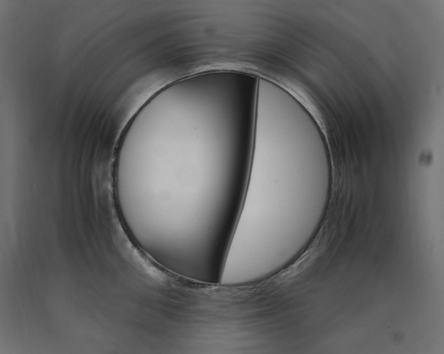 X0000091010906200708021403