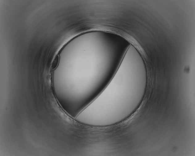 X0000091010908200708021403