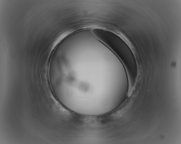 X0000091010909200708021403