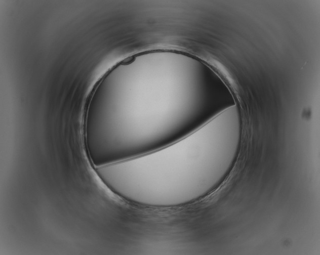 X0000091010910200708021403