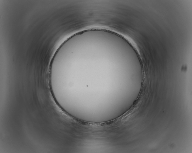 X0000091010911200708021403
