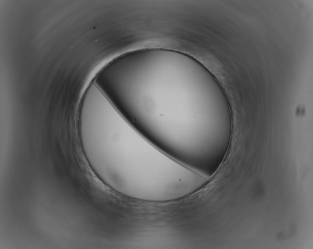 X0000091010912200708021403