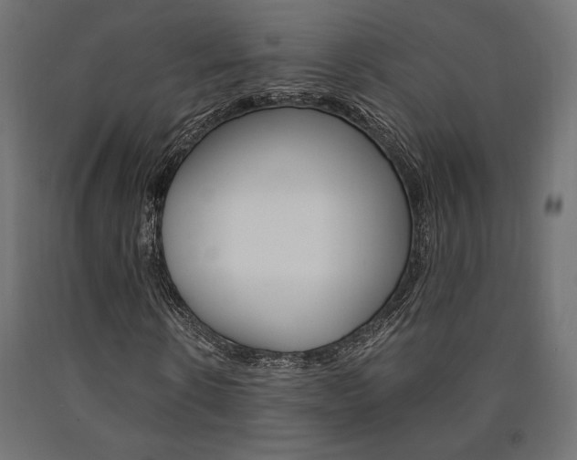 X0000091010914200708021403