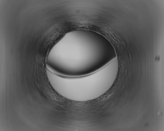 X0000091010916200708021403