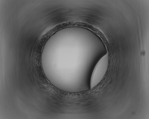 X0000091010919200708021403