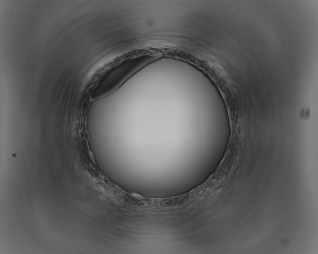 X0000091010920200708021403