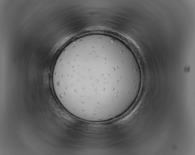 X0000091010921200708021403
