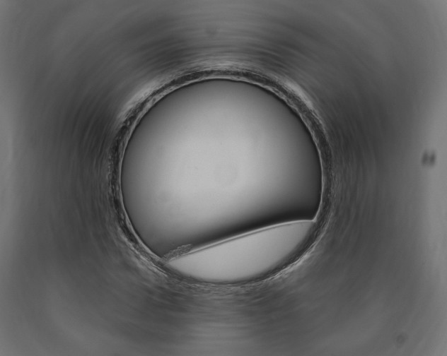 X0000091010922200708021403