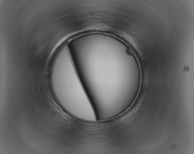 X0000091010923200708021403