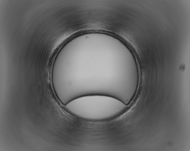 X0000091010925200708021403
