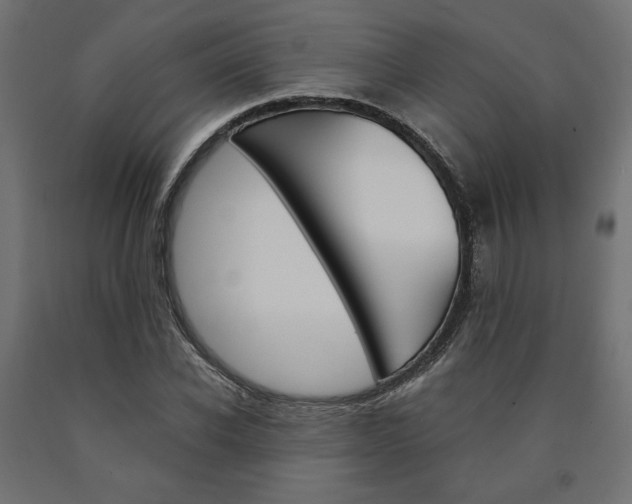 X0000091010926200708021403