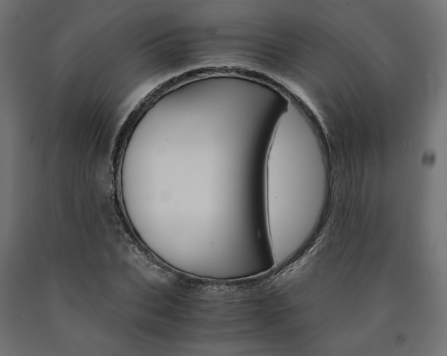 X0000091010927200708021403