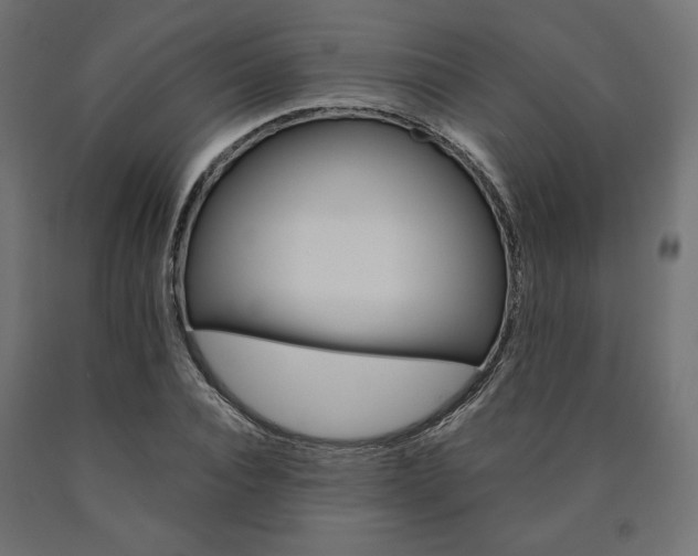 X0000091010928200708021403