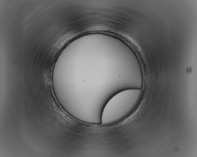 X0000091010929200708021403