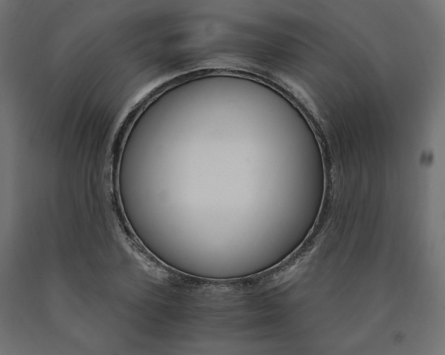 X0000091010931200708021403