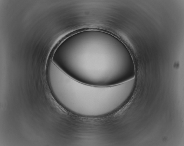 X0000091010932200708021403