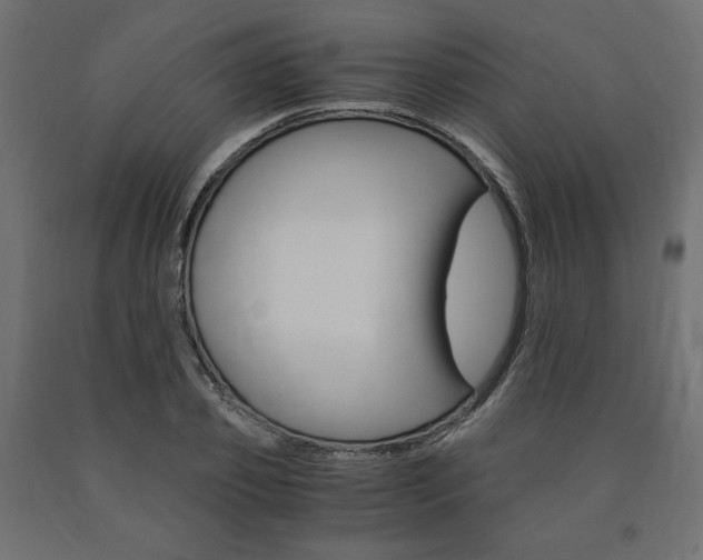 X0000091010933200708021403