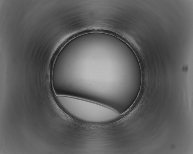 X0000091010934200708021403