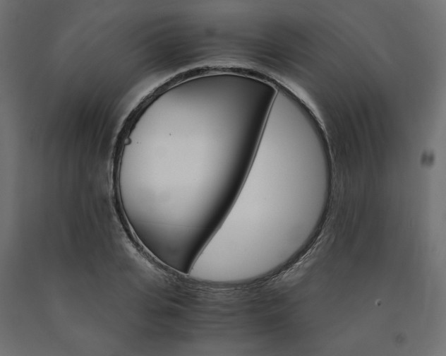 X0000091010935200708021403