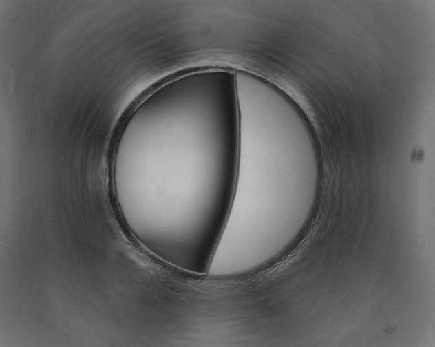 X0000091010936200708021403