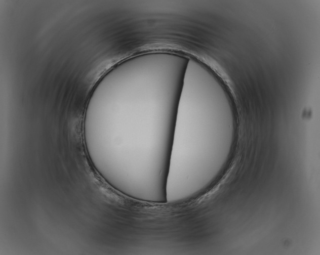 X0000091010937200708021403