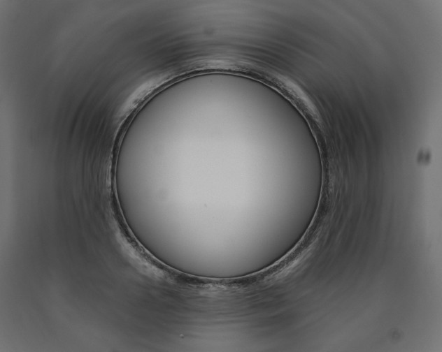 X0000091010938200708021403
