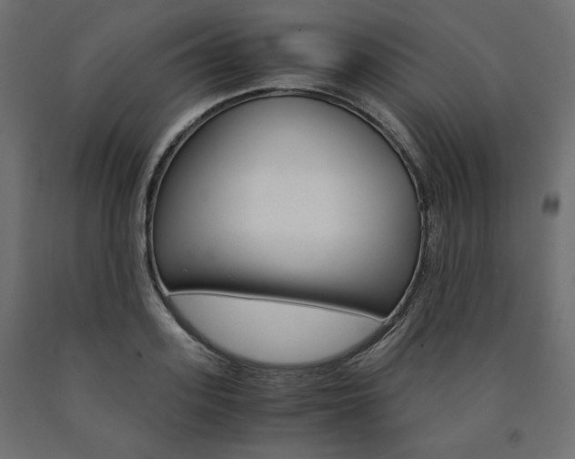 X0000091010939200708021403