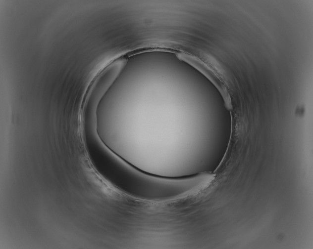 X0000091010940200708021403