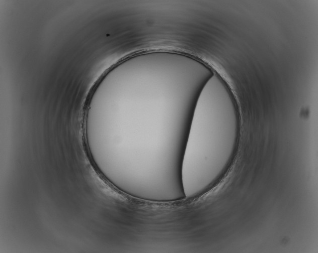 X0000091010941200708021403