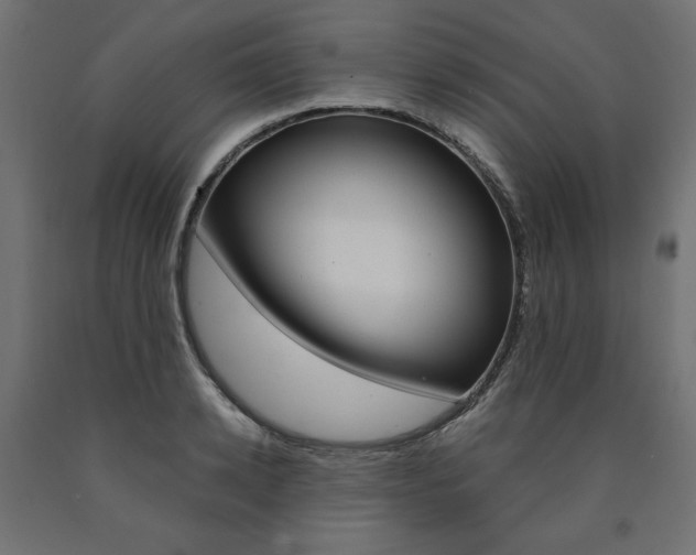X0000091010942200708021403