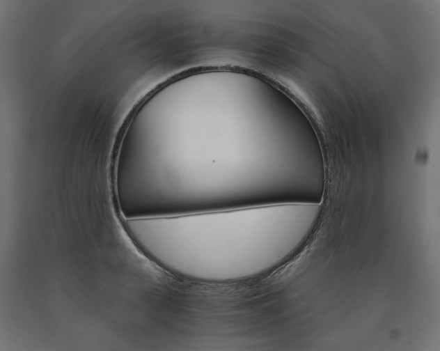 X0000091010943200708021403