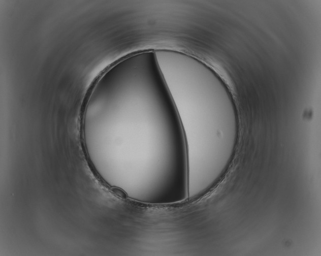 X0000091010944200708021403