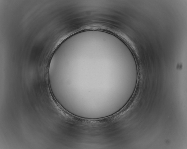 X0000091010945200708021403