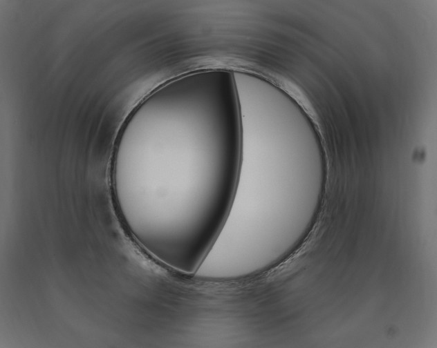 X0000091010946200708021403