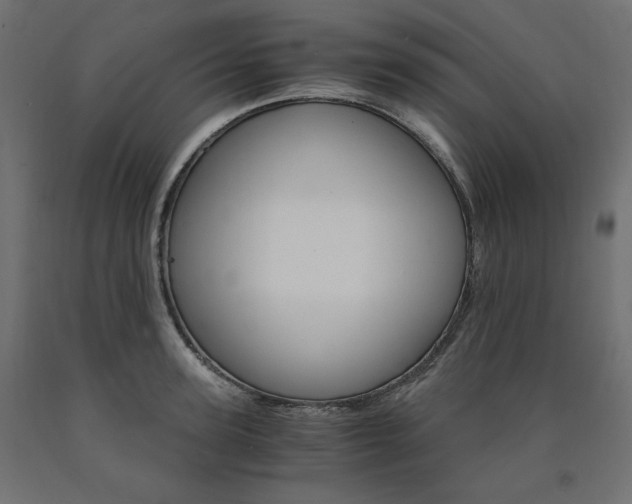 X0000091010947200708021403