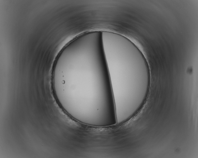 X0000091010949200708021403
