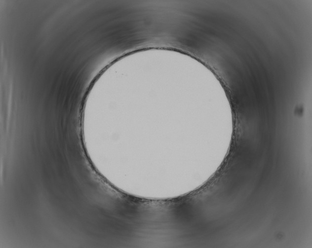 X0000091010950200708021403
