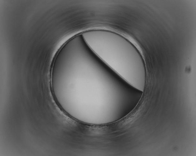 X0000091010951200708021403