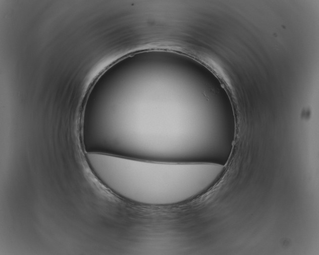 X0000091010952200708021403
