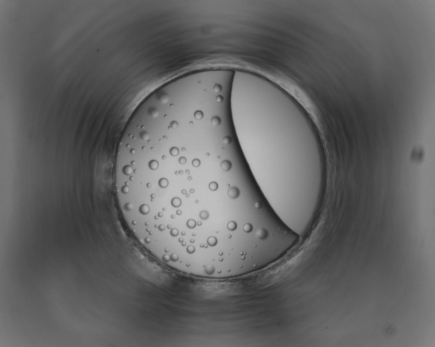 X0000091010953200708021403