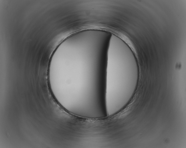 X0000091010954200708021403