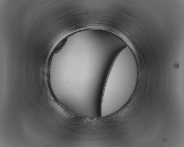 X0000091010955200708021403