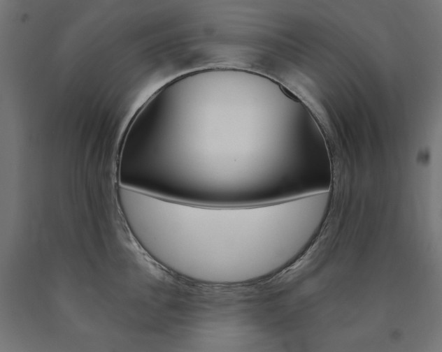 X0000091010956200708021403