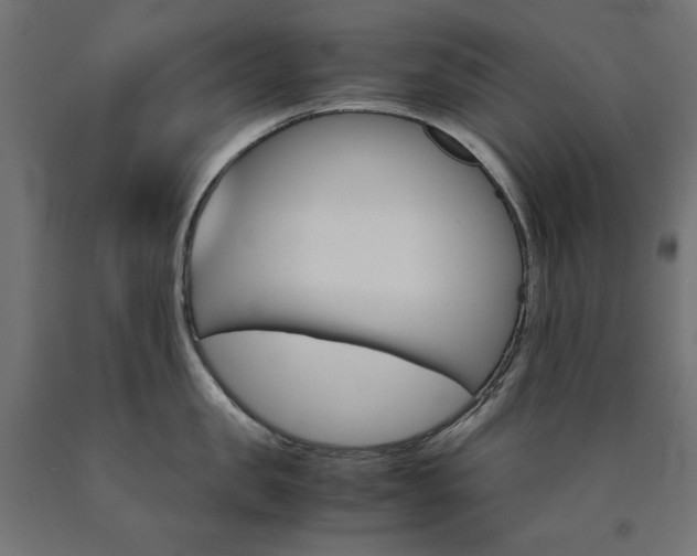 X0000091010957200708021403
