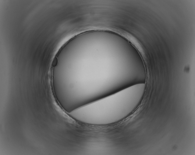 X0000091010958200708021403