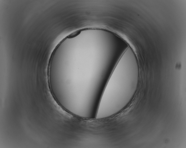 X0000091010959200708021403