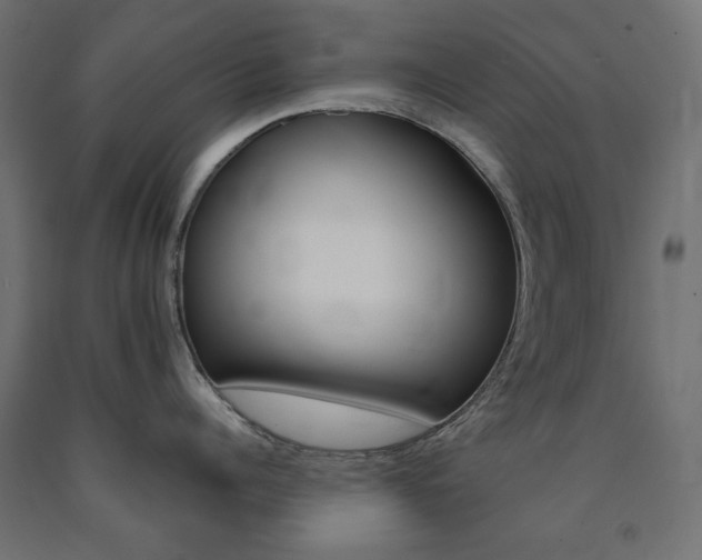 X0000091010960200708021403