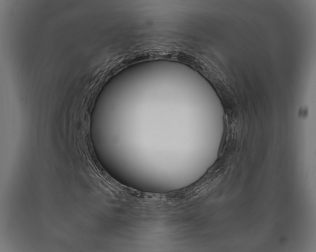X0000091010961200708021403