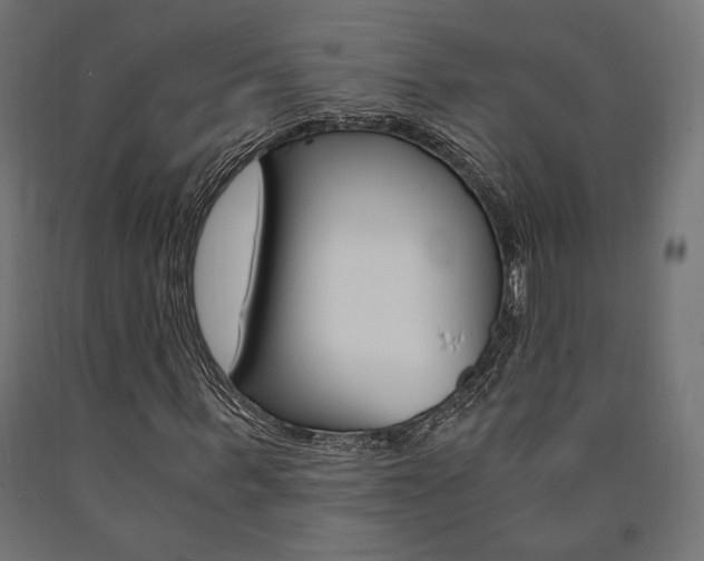 X0000091010963200708021403